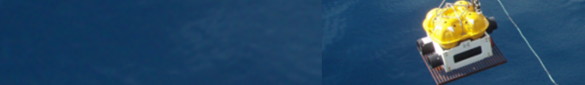 sdg